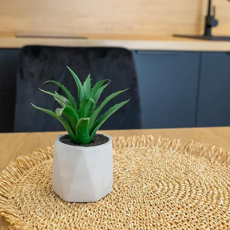 شقة Ds Jasminowa زاتور